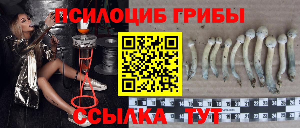 Галлюциногенные грибы GOLDEN TEACHER Кулебаки