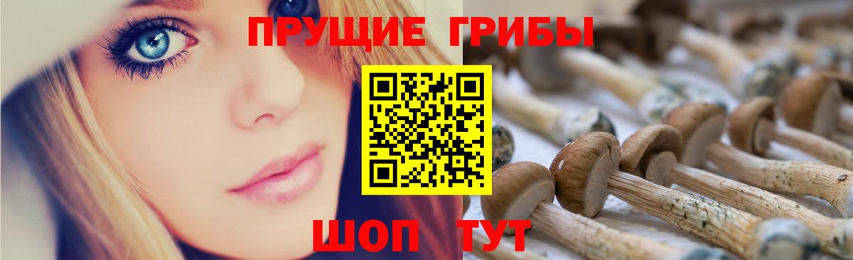 Галлюциногенные грибы GOLDEN TEACHER  Вход с VPN  Кулебаки 